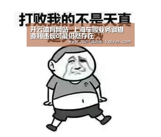开云体育网站-上海车险业务调查 变相违规可能仍然存在(图4) Kaiyuan Gaming