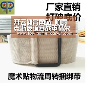 开云体育网站_阿贾克斯友谊赛战平赫尔城 赞助商助力冲刺欧冠(图2) 开云体育官网