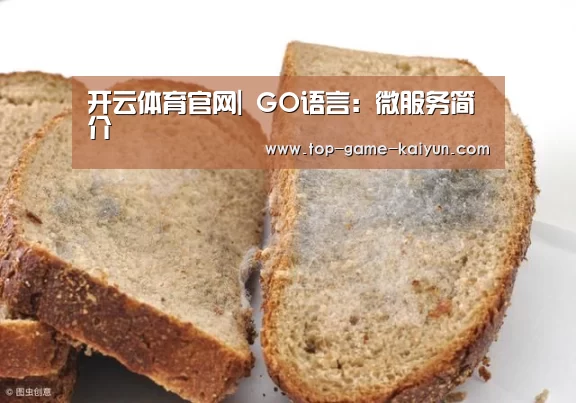 开云体育官网|
GO语言：微服务简介