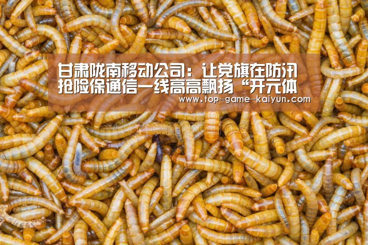 开云体育网站